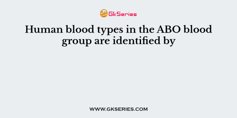 Human blood types in the ABO blood group are identified by