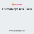 The phenomena of light responsible for the working of the human eye is