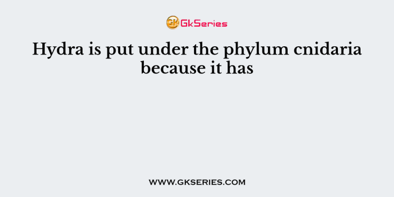 Hydra is put under the phylum cnidaria because it has