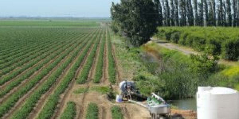 Govt signs MoU with IBM for weather forecast