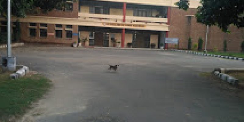 IC College of Home Sciences, Hisar