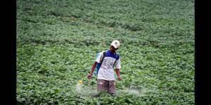 IFC launches financing platform to respond to global food crisis