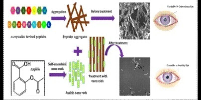 INST scientists develop simple economical nonsurgical prevention of cataract