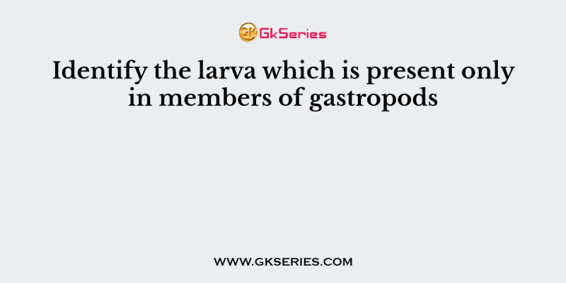 Identify the larva which is present only in members of gastropods