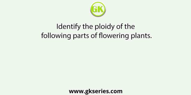 Identify the ploidy of the following parts of flowering plants.
