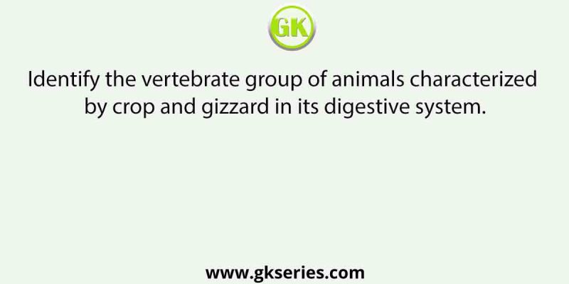 Identify the vertebrate group of animals characterized by crop and gizzard in its digestive system.