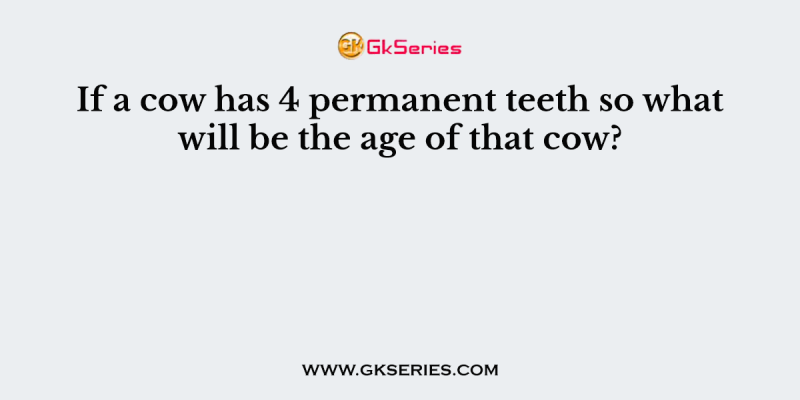 If a cow has 4 permanent teeth so what will be the age of that cow?