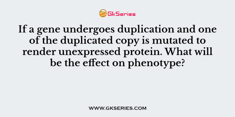 If a gene undergoes duplication and one of the duplicated copy is mutated to render unexpressed protein. What will be the effect on phenotype?