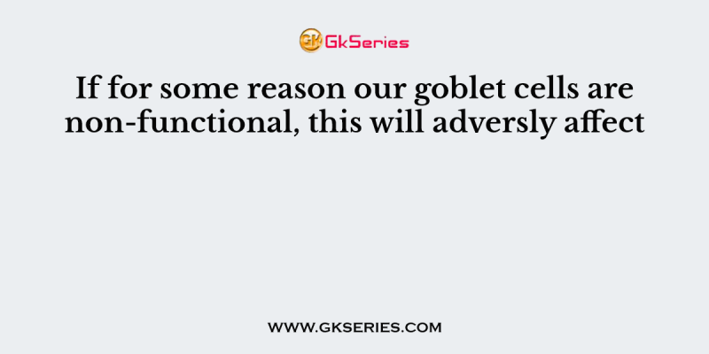 If for some reason our goblet cells are non-functional, this will adversly affect