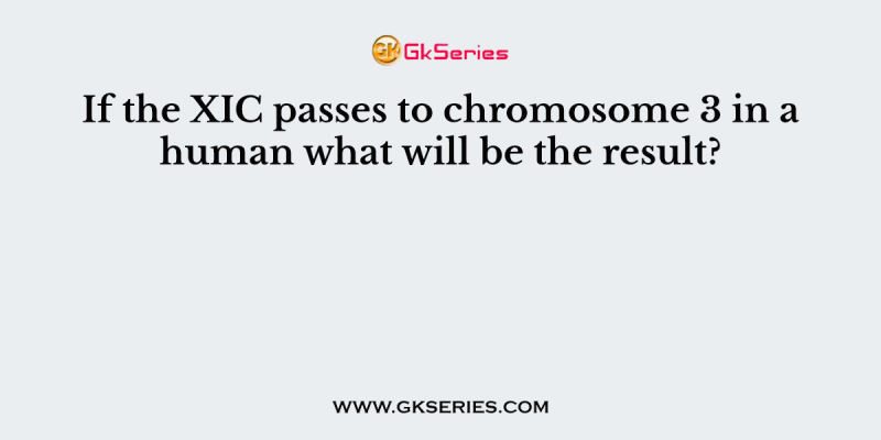 If the XIC passes to chromosome 3 in a human what will be the result?