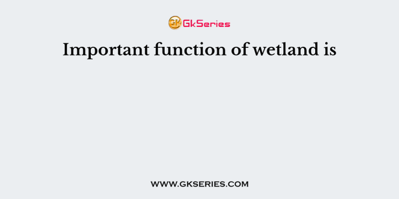 Important function of wetland is