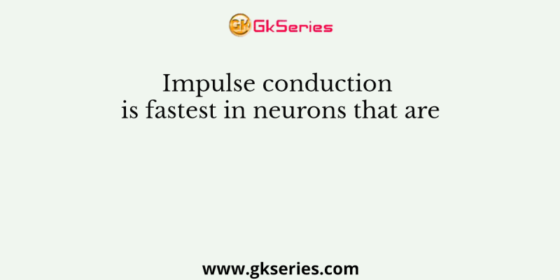 Impulse conduction is fastest in neurons that are
