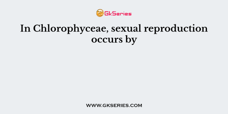 In Chlorophyceae, sexual reproduction occurs by