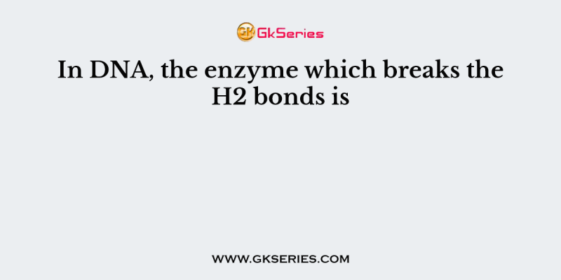 In DNA, the enzyme which breaks the H2 bonds is
