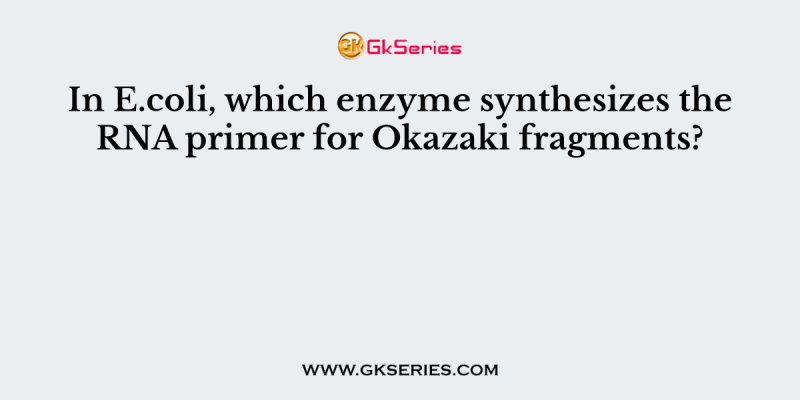 In E.coli, which enzyme synthesizes the RNA primer for Okazaki fragments?