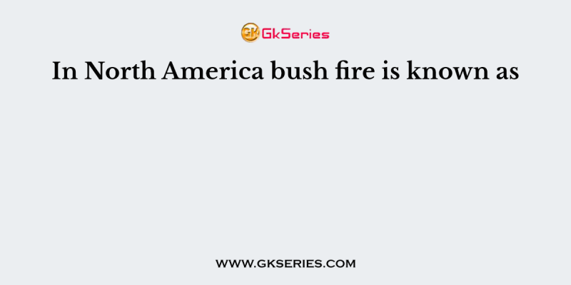 In North America bush fire is known as