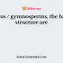 Sperms of both Funaria and Pteris were released together near the archegonia of Pteris.Only Pteris sperms enter the archegonia as