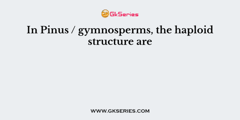 In Pinus / gymnosperms, the haploid structure are