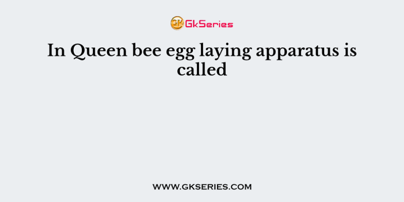 In Queen bee egg laying apparatus is called