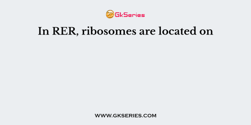 In RER, ribosomes are located on