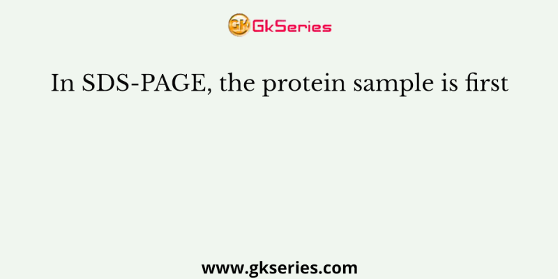 In SDS-PAGE, the protein sample is first