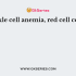 Size of red blood cell is