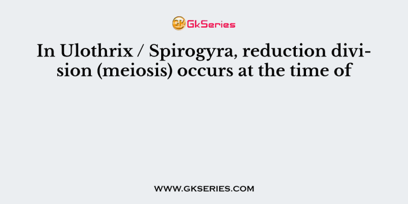 In Ulothrix / Spirogyra, reduction division (meiosis) occurs at the time of