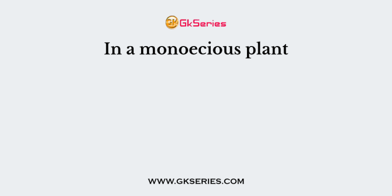 In a monoecious plant