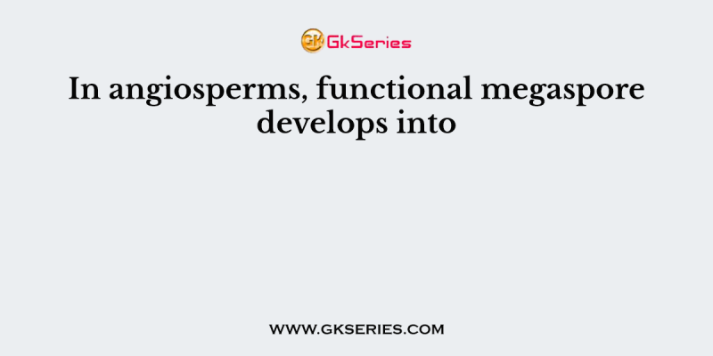 In angiosperms, functional megaspore develops into