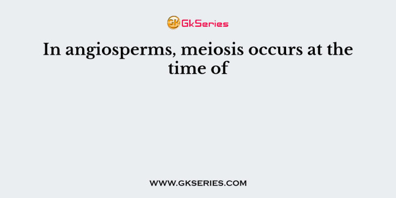 In angiosperms, meiosis occurs at the time of