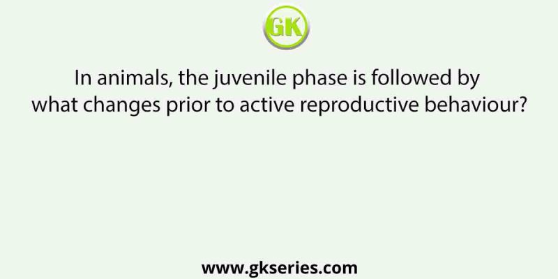 In animals, the juvenile phase is followed by what changes prior to active reproductive behaviour?
