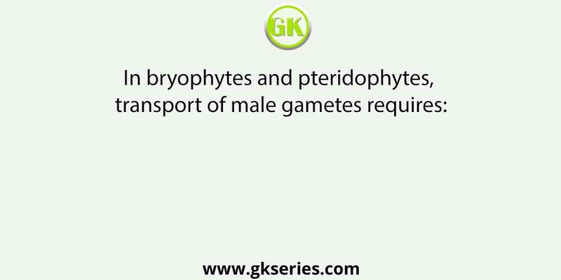 In bryophytes and pteridophytes, transport of male gametes requires:           [NEET – I, 2016]