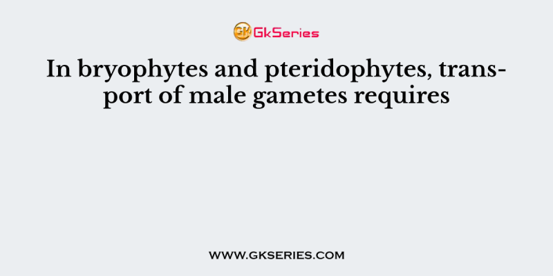 In bryophytes and pteridophytes, transport of male gametes requires