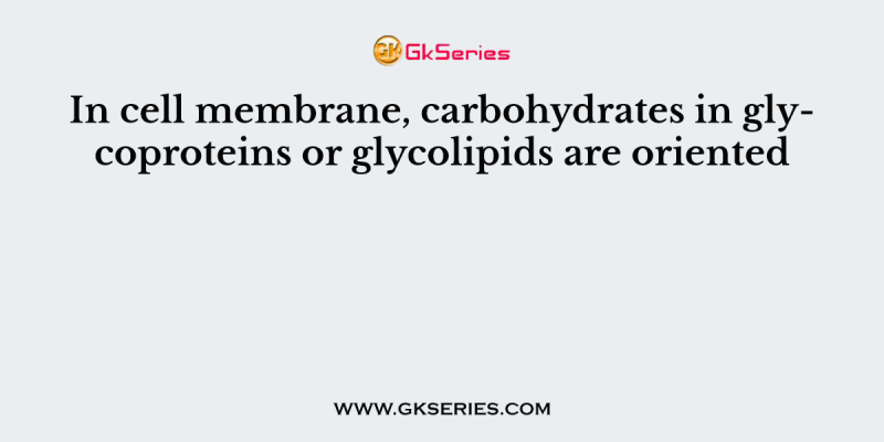 In cell membrane, carbohydrates in glycoproteins or glycolipids are oriented
