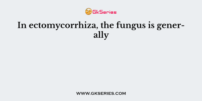 In ectomycorrhiza, the fungus is generally