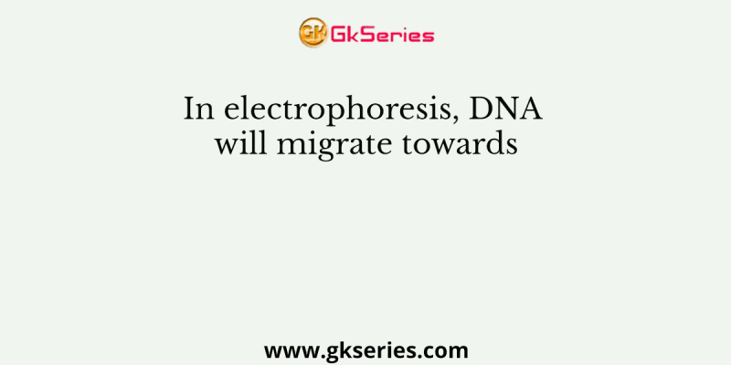 In electrophoresis, DNA will migrate towards