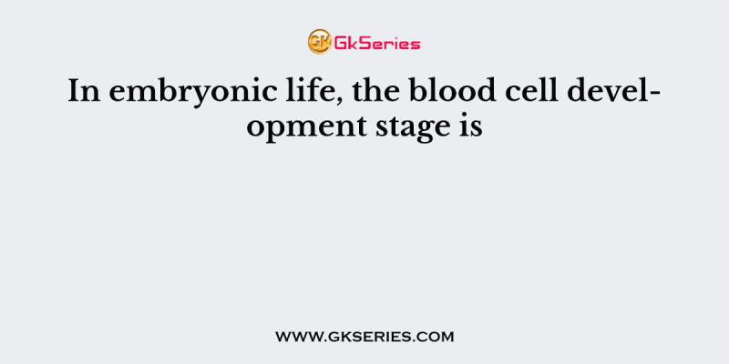 In embryonic life, the blood cell development stage is