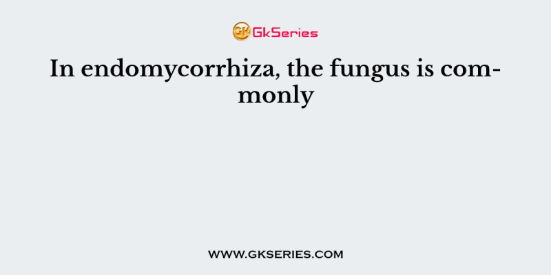 In endomycorrhiza, the fungus is commonly