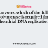 Telomeres are the repetitive sequence of T’s and G’s that are present in the eukaryotes to protect the random cleavage from nucleases