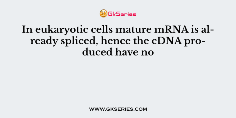 In eukaryotic cells mature mRNA is already spliced, hence the cDNA produced have no