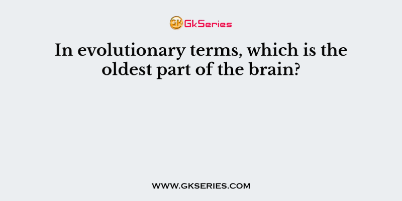 In evolutionary terms, which is the oldest part of the brain?