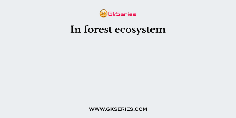 In forest ecosystem