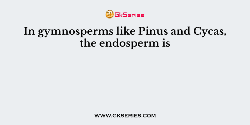 In gymnosperms like Pinus and Cycas, the endosperm is