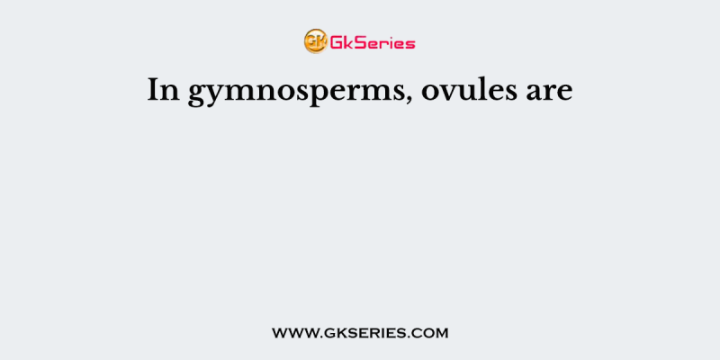 In gymnosperms, ovules are