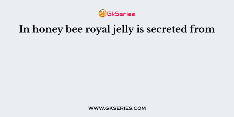 In honey bee royal jelly is secreted from