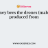 In the drones of honeybee, there is no reduction in chromosomes number during spermatogenesis. This indicates that