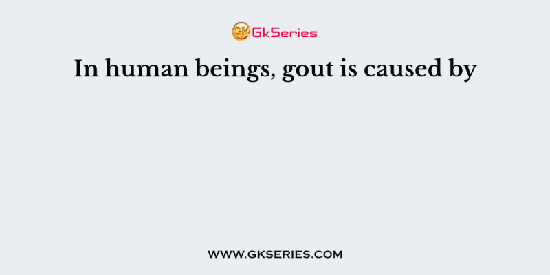 In human beings, gout is caused by