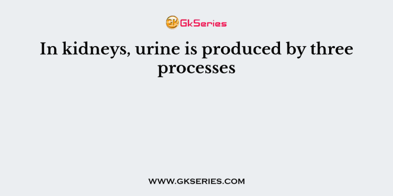 In kidneys, urine is produced by three processes