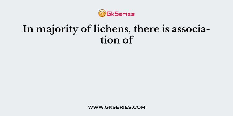 In majority of lichens, there is association of