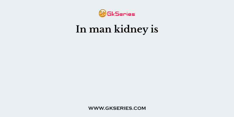 In man kidney is